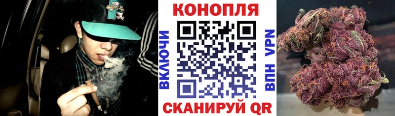 Купить наркотик аптеки Чита МАРИХУАНА  COCAIN  ГЕРОИН  Мефедрон  Гашиш 