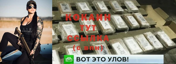 дурь Тавда