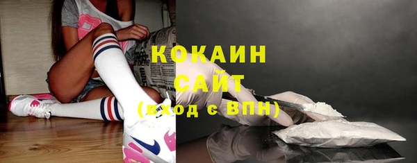 эйфоретик Сясьстрой