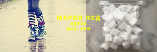 дурь Тавда