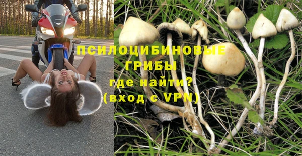 эйфоретик Сясьстрой