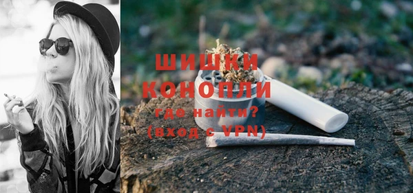 эйфоретик Сясьстрой