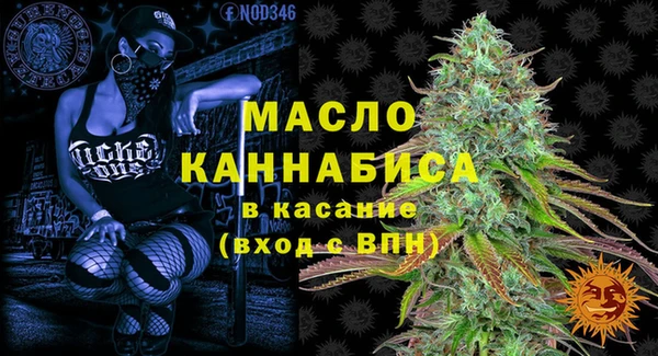 эйфоретик Сясьстрой