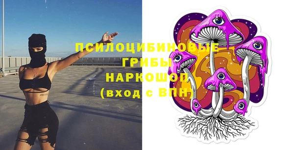эйфоретик Сясьстрой