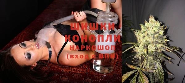 дурь Тавда