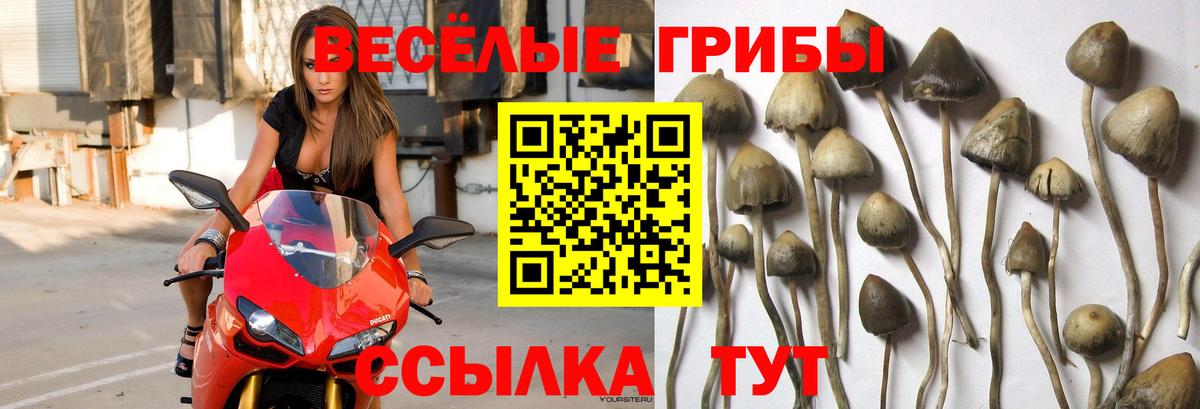 Псилоцибиновые грибы ЛСД  Вход с VPN  Чита 