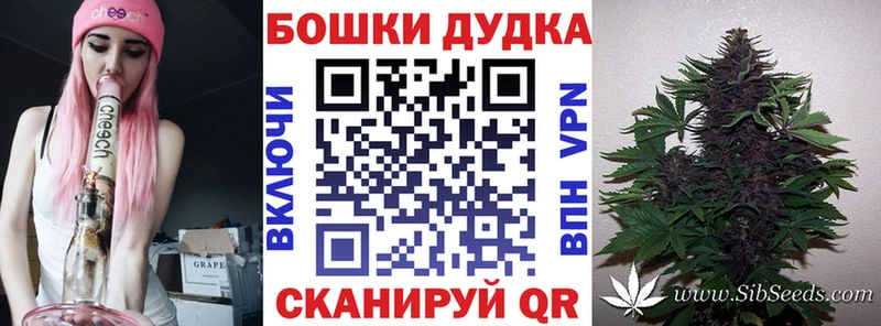 где купить наркотик  Чита  Бошки Шишки SATIVA & INDICA 