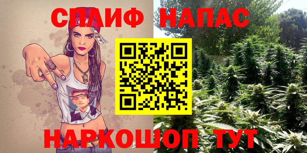 Бошки Шишки Bruce Banner  МАРИХУАНА индика  Вход с VPN  Чита 